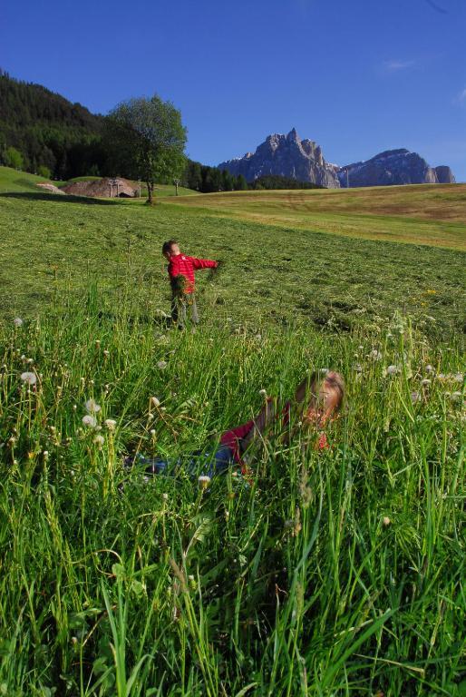 Urthalerhof Βίλα Castelrotto Εξωτερικό φωτογραφία